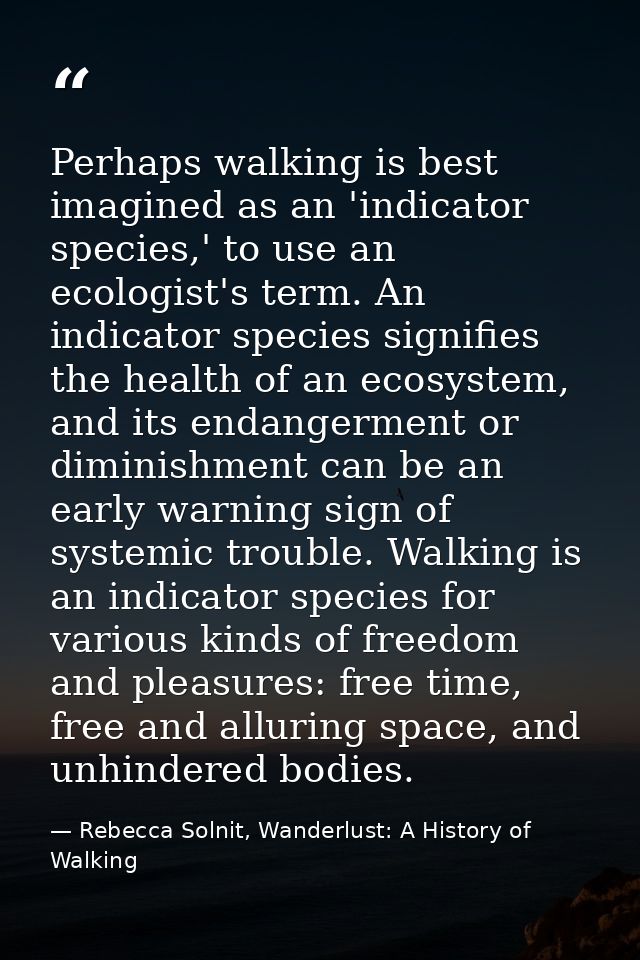 Perhaps walking is best imagined as an 'indicator species,' to use an ecologist's term. An indicator species signifies t — Rebecca Solnit, Wanderlust: A History of Walking