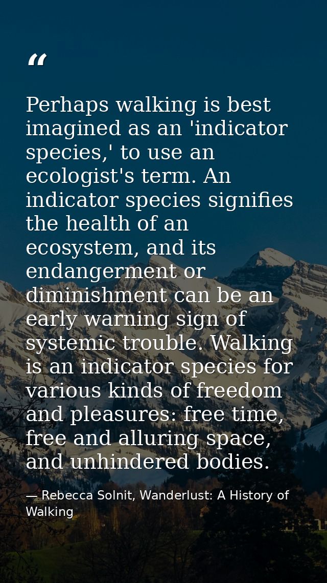 Perhaps walking is best imagined as an 'indicator species,' to use an ecologist's term. An indicator species signifies t — Rebecca Solnit, Wanderlust: A History of Walking