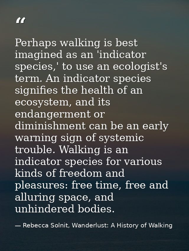 Perhaps walking is best imagined as an 'indicator species,' to use an ecologist's term. An indicator species signifies t — Rebecca Solnit, Wanderlust: A History of Walking
