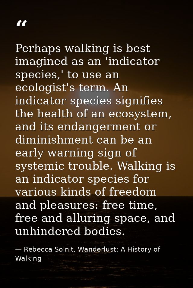Perhaps walking is best imagined as an 'indicator species,' to use an ecologist's term. An indicator species signifies t — Rebecca Solnit, Wanderlust: A History of Walking