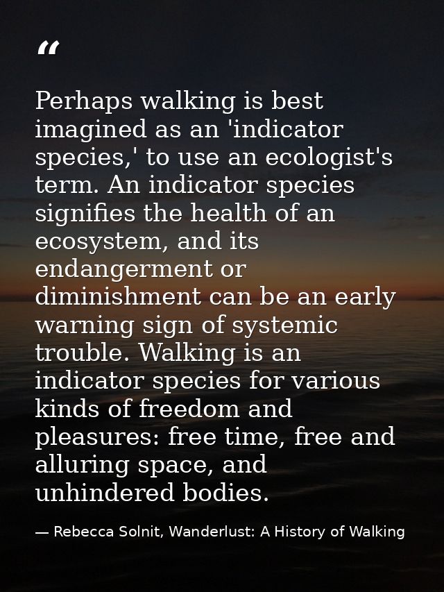 Perhaps walking is best imagined as an 'indicator species,' to use an ecologist's term. An indicator species signifies t — Rebecca Solnit, Wanderlust: A History of Walking