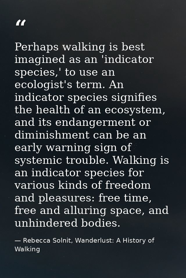 Perhaps walking is best imagined as an 'indicator species,' to use an ecologist's term. An indicator species signifies t — Rebecca Solnit, Wanderlust: A History of Walking