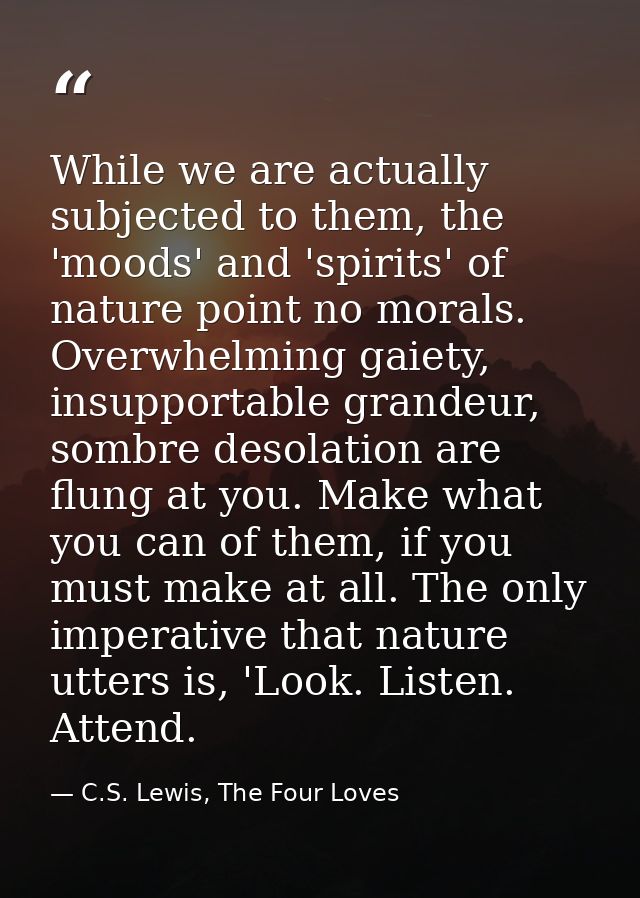 While we are actually subjected to them, the 'moods' and 'spirits' of nature point no morals. Overwhelming gaiety, insup — C.S. Lewis, The Four Loves