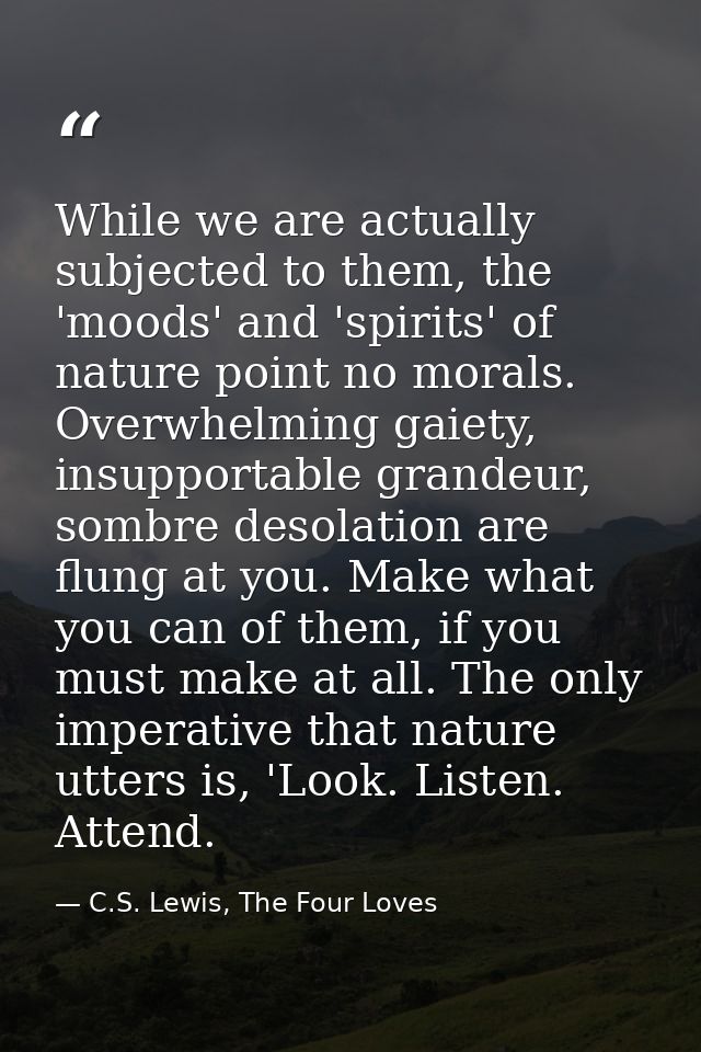While we are actually subjected to them, the 'moods' and 'spirits' of nature point no morals. Overwhelming gaiety, insup — C.S. Lewis, The Four Loves