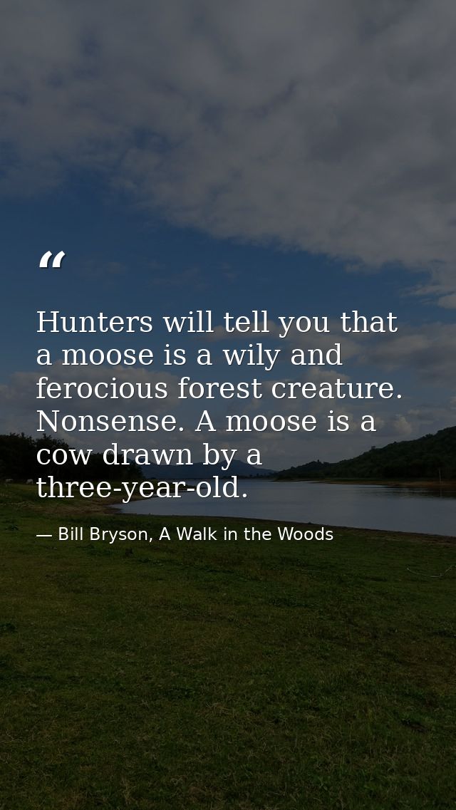 Hunters will tell you that a moose is a wily and ferocious forest creature. Nonsense. A moose is a cow drawn by a three- — Bill Bryson, A Walk in the Woods