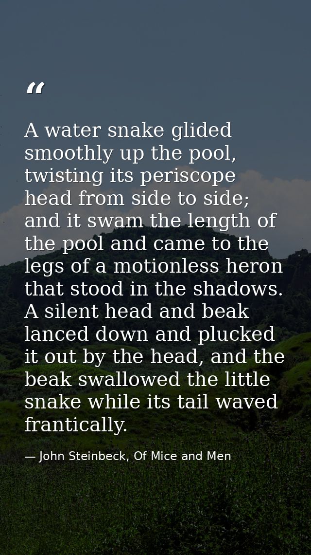 A water snake glided smoothly up the pool, twisting its periscope head from side to side; and it swam the length of the  — John Steinbeck, Of Mice and Men