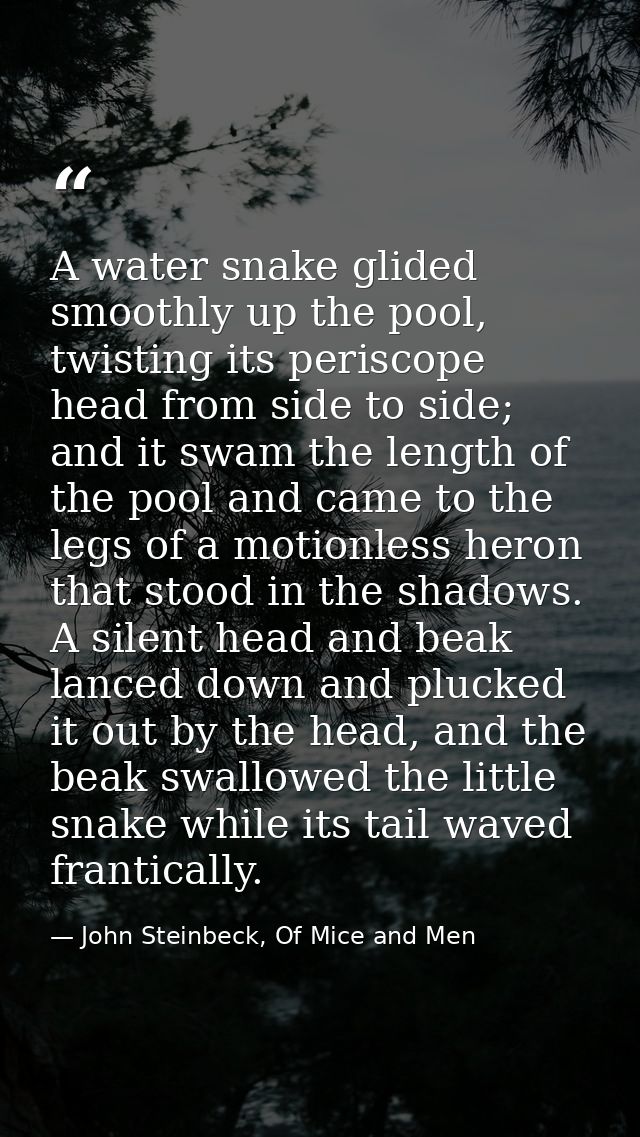 A water snake glided smoothly up the pool, twisting its periscope head from side to side; and it swam the length of the  — John Steinbeck, Of Mice and Men