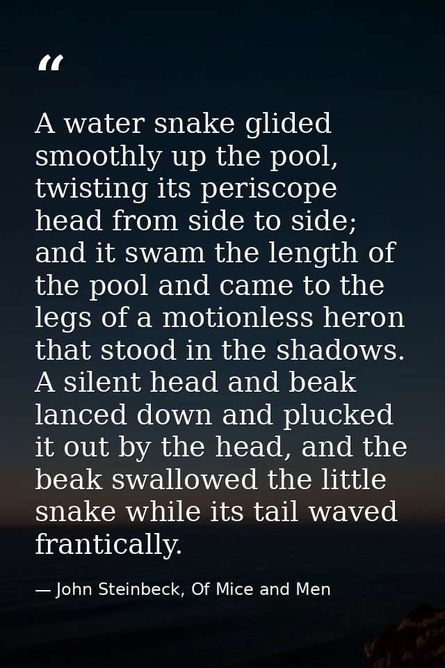 A water snake glided smoothly up the pool, twisting its periscope head from side to side; and it swam the length of the  — John Steinbeck, Of Mice and Men
