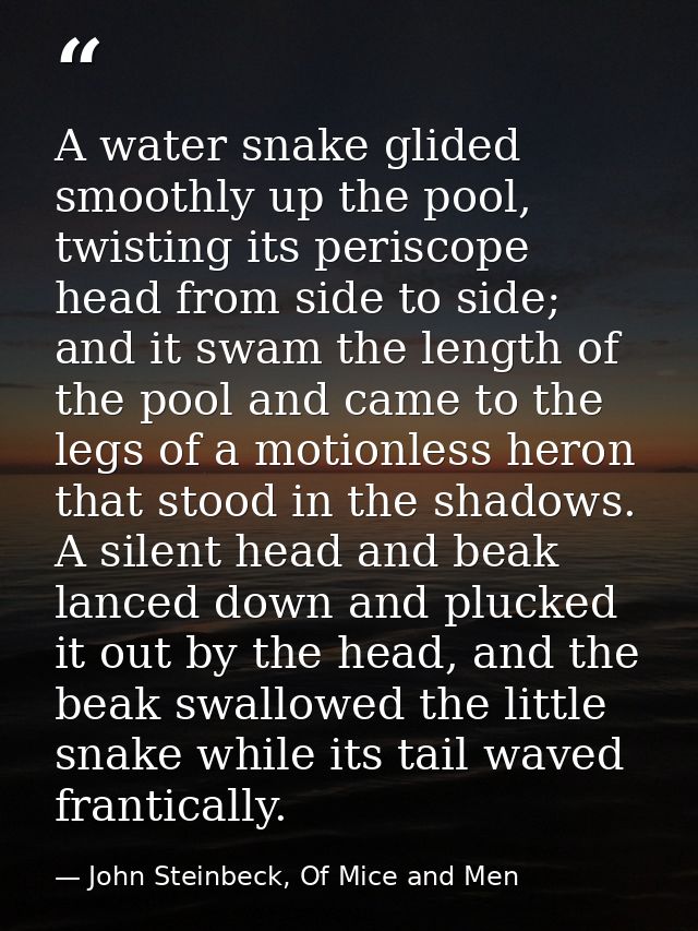 A water snake glided smoothly up the pool, twisting its periscope head from side to side; and it swam the length of the  — John Steinbeck, Of Mice and Men
