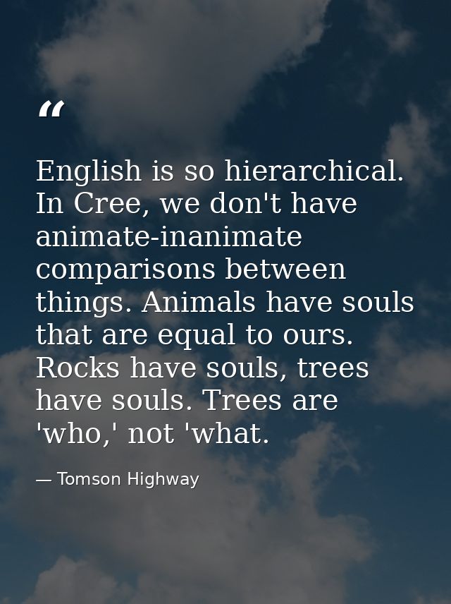 English is so hierarchical. In Cree, we don't have animate-inanimate comparisons between things. Animals have souls that — Tomson Highway