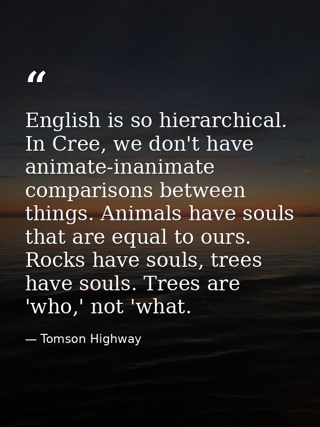 English is so hierarchical. In Cree, we don't have animate-inanimate comparisons between things. Animals have souls that — Tomson Highway
