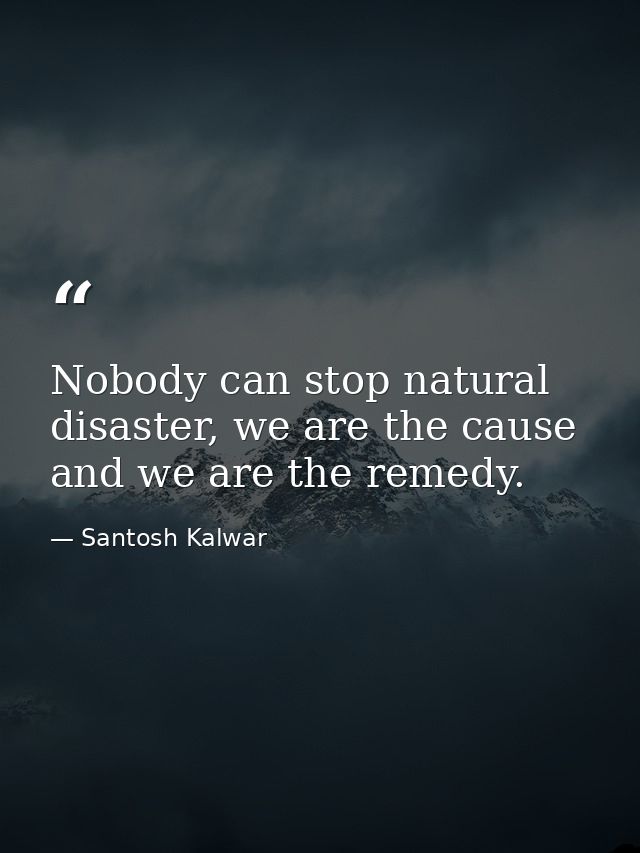 Nobody can stop natural disaster, we are the cause and we are the remedy. — Santosh Kalwar