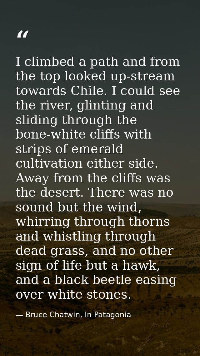 I climbed a path and from the top looked up-stream towards Chile. I could see the river, glinting and sliding through th — Bruce Chatwin, In Patagonia