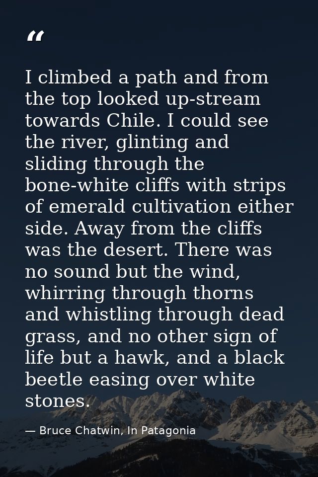 I climbed a path and from the top looked up-stream towards Chile. I could see the river, glinting and sliding through th — Bruce Chatwin, In Patagonia