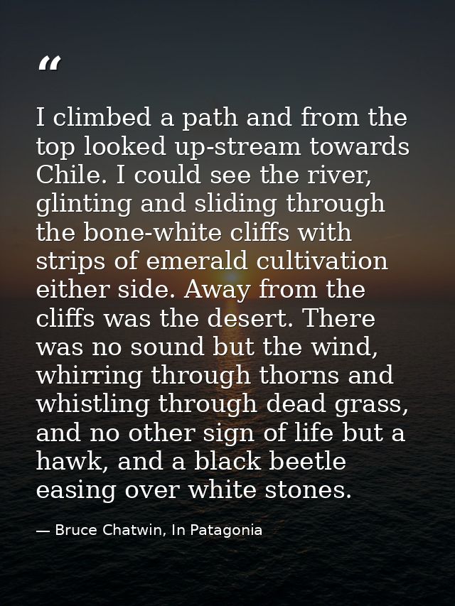 I climbed a path and from the top looked up-stream towards Chile. I could see the river, glinting and sliding through th — Bruce Chatwin, In Patagonia