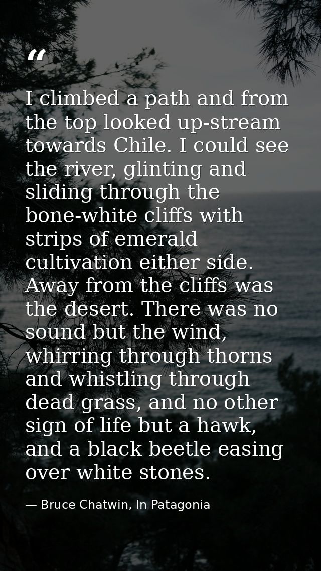 I climbed a path and from the top looked up-stream towards Chile. I could see the river, glinting and sliding through th — Bruce Chatwin, In Patagonia