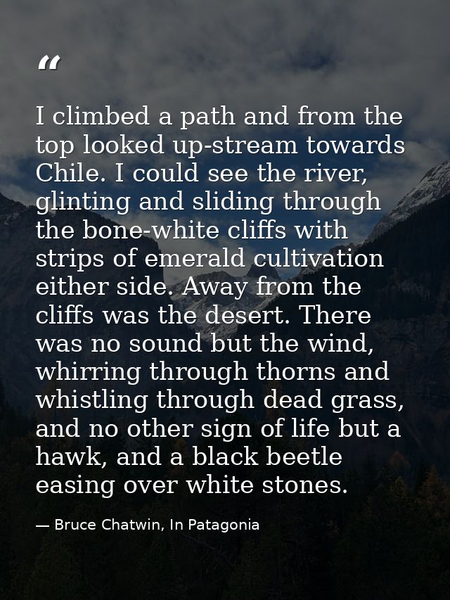 I climbed a path and from the top looked up-stream towards Chile. I could see the river, glinting and sliding through th — Bruce Chatwin, In Patagonia