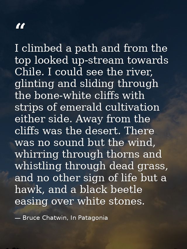I climbed a path and from the top looked up-stream towards Chile. I could see the river, glinting and sliding through th — Bruce Chatwin, In Patagonia