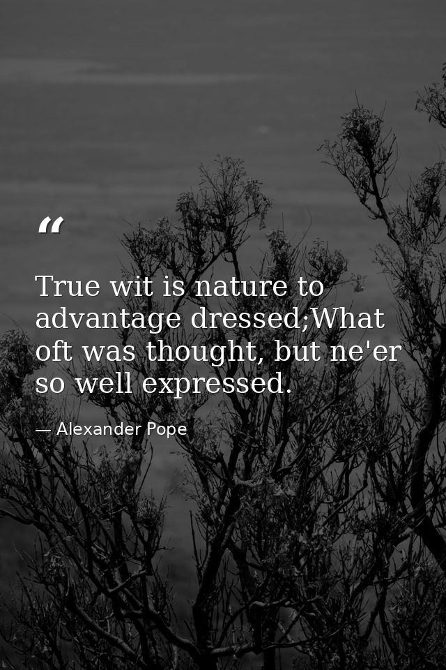 True wit is nature to advantage dressed;What oft was thought, but ne'er so well expressed. — Alexander Pope