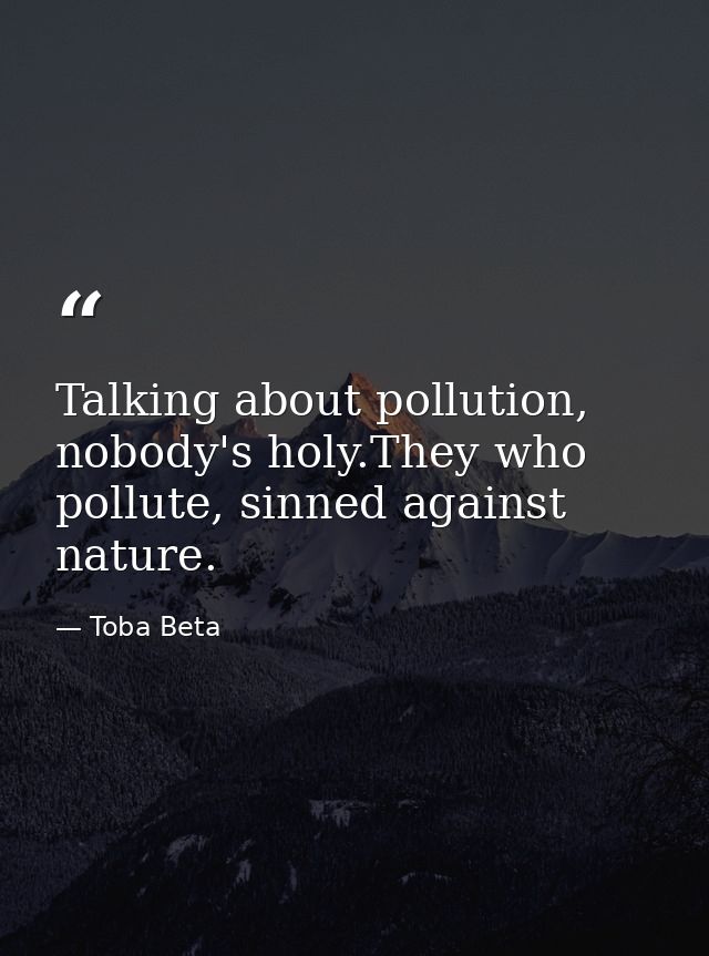 Talking about pollution, nobody's holy.They who pollute, sinned against nature. — Toba Beta