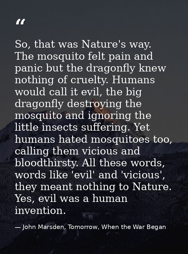 So, that was Nature's way. The mosquito felt pain and panic but the dragonfly knew nothing of cruelty. Humans would call — John Marsden, Tomorrow, When the War Began