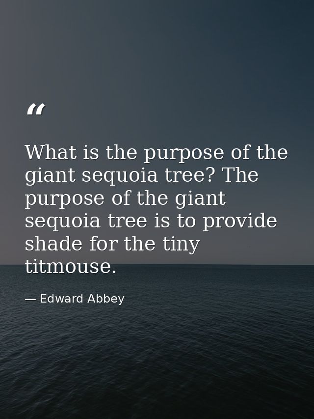 What is the purpose of the giant sequoia tree? The purpose of the giant sequoia tree is to provide shade for the tiny ti — Edward Abbey