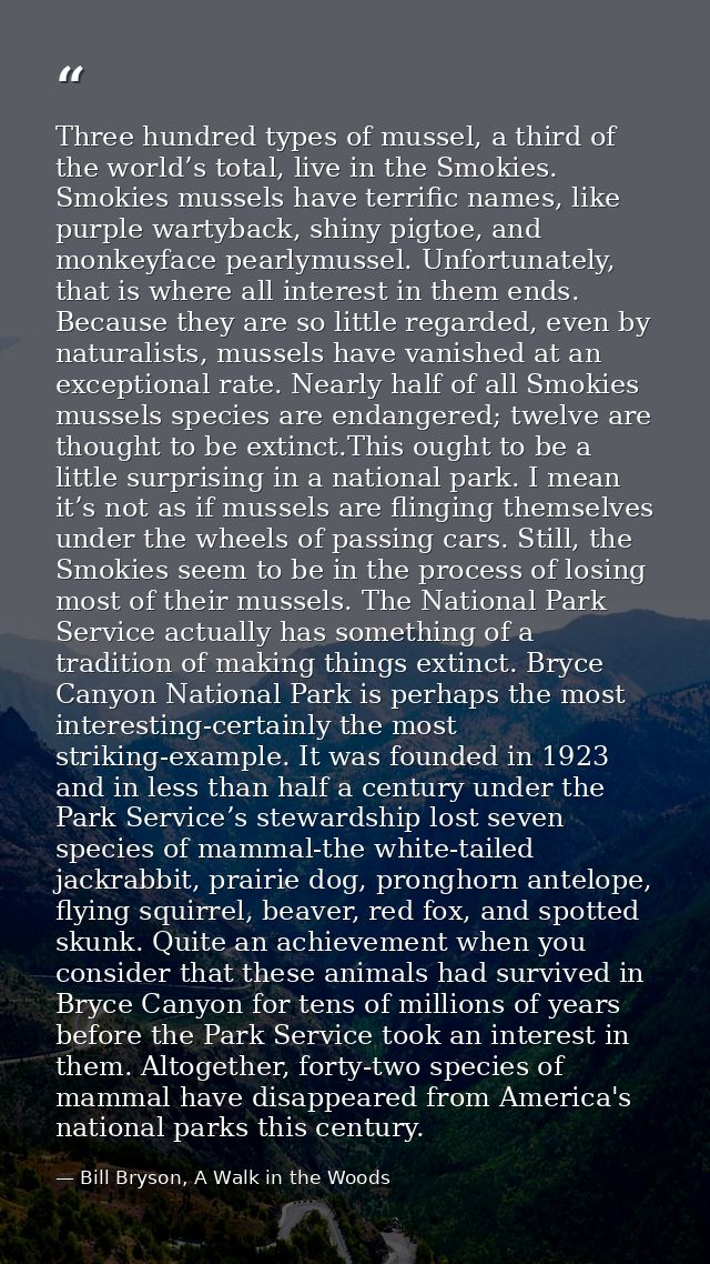 Three hundred types of mussel, a third of the world’s total, live in the Smokies. Smokies mussels have terrific names, l — Bill Bryson, A Walk in the Woods