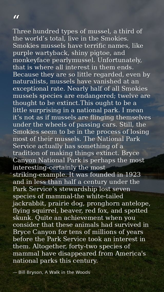 Three hundred types of mussel, a third of the world’s total, live in the Smokies. Smokies mussels have terrific names, l — Bill Bryson, A Walk in the Woods