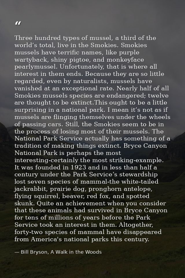 Three hundred types of mussel, a third of the world’s total, live in the Smokies. Smokies mussels have terrific names, l — Bill Bryson, A Walk in the Woods