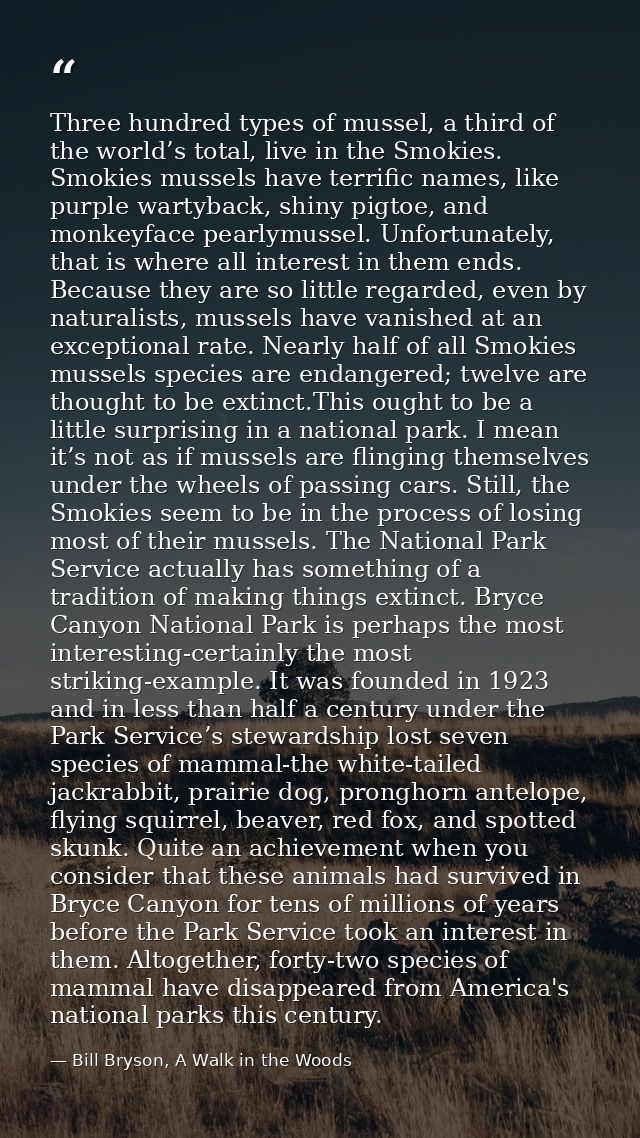 Three hundred types of mussel, a third of the world’s total, live in the Smokies. Smokies mussels have terrific names, l — Bill Bryson, A Walk in the Woods