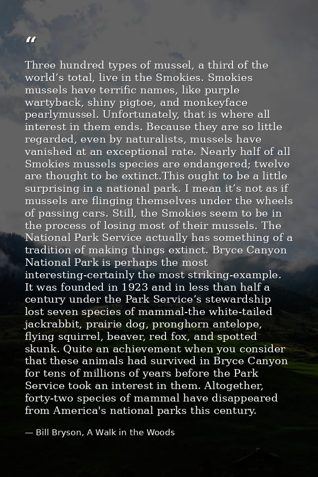 Three hundred types of mussel, a third of the world’s total, live in the Smokies. Smokies mussels have terrific names, l — Bill Bryson, A Walk in the Woods