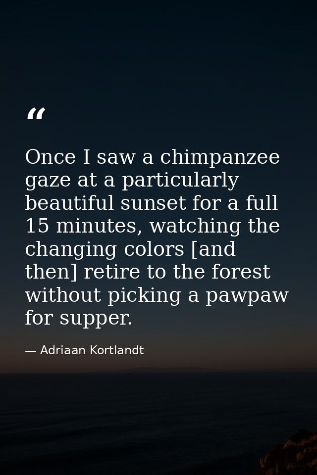 Once I saw a chimpanzee gaze at a particularly beautiful sunset for a full 15 minutes, watching the changing colors [and — Adriaan Kortlandt
