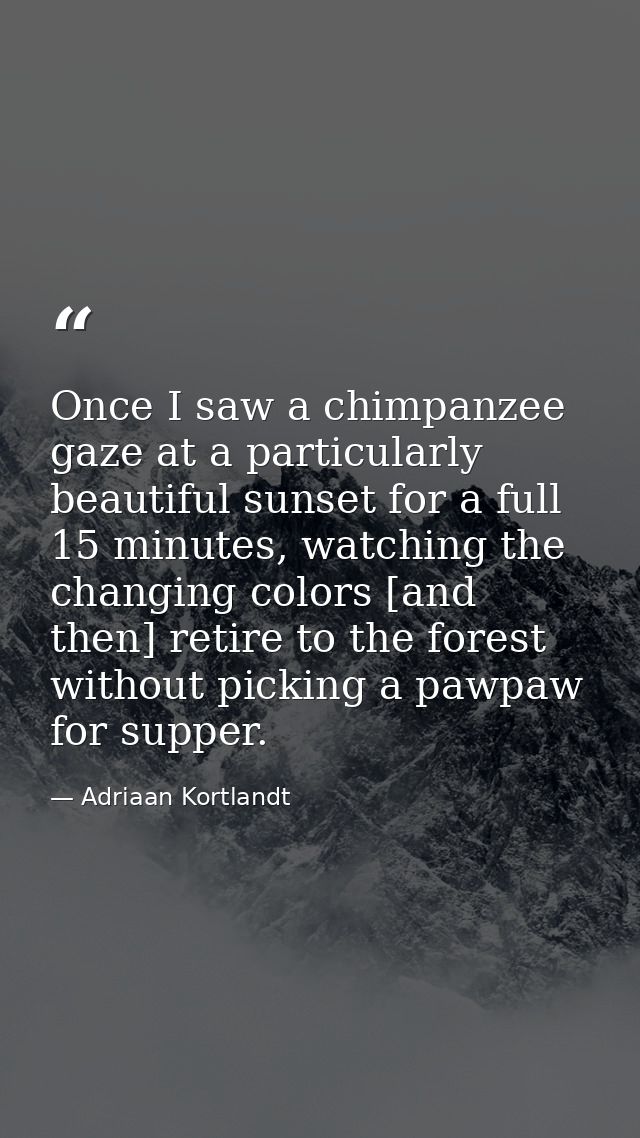 Once I saw a chimpanzee gaze at a particularly beautiful sunset for a full 15 minutes, watching the changing colors [and — Adriaan Kortlandt