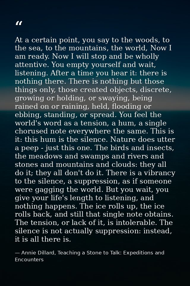 At a certain point, you say to the woods, to the sea, to the mountains, the world, Now I am ready. Now I will stop and b — Annie Dillard, Teaching a Stone to Talk: Expeditions and Encounters