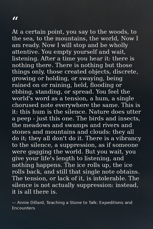 At a certain point, you say to the woods, to the sea, to the mountains, the world, Now I am ready. Now I will stop and b — Annie Dillard, Teaching a Stone to Talk: Expeditions and Encounters