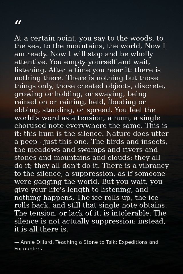At a certain point, you say to the woods, to the sea, to the mountains, the world, Now I am ready. Now I will stop and b — Annie Dillard, Teaching a Stone to Talk: Expeditions and Encounters