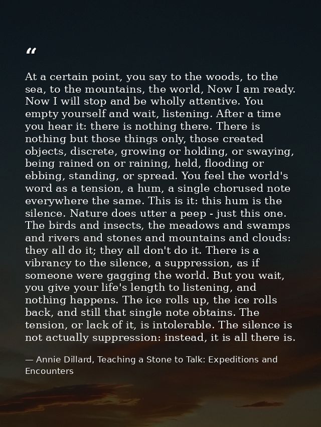 At a certain point, you say to the woods, to the sea, to the mountains, the world, Now I am ready. Now I will stop and b — Annie Dillard, Teaching a Stone to Talk: Expeditions and Encounters