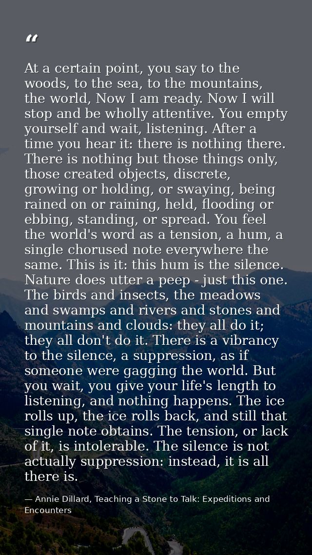 At a certain point, you say to the woods, to the sea, to the mountains, the world, Now I am ready. Now I will stop and b — Annie Dillard, Teaching a Stone to Talk: Expeditions and Encounters