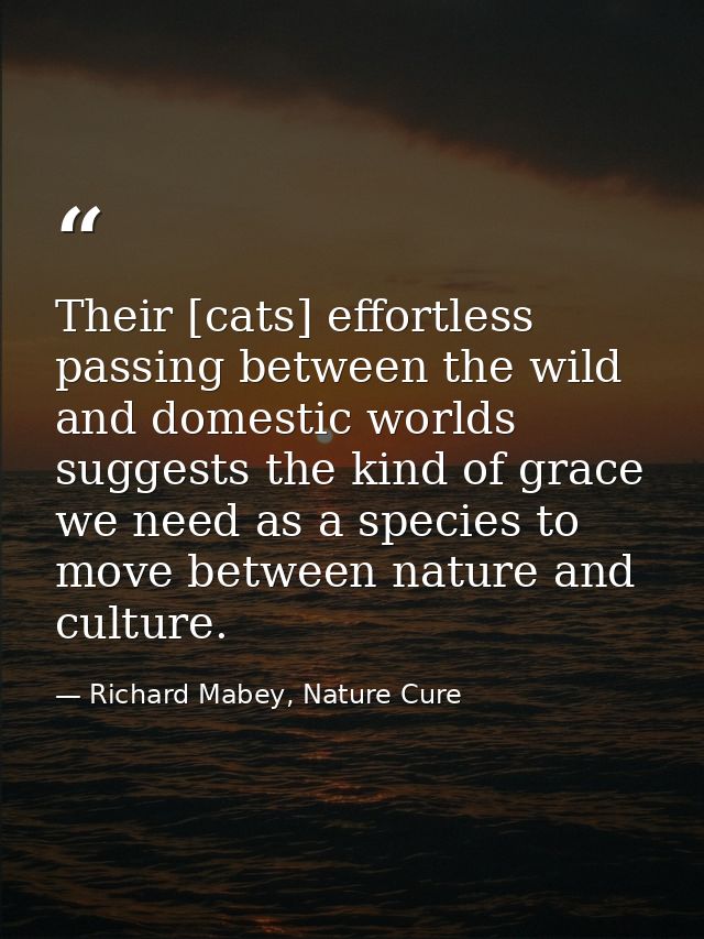 Their [cats] effortless passing between the wild and domestic worlds suggests the kind of grace we need as a species to  — Richard Mabey, Nature Cure