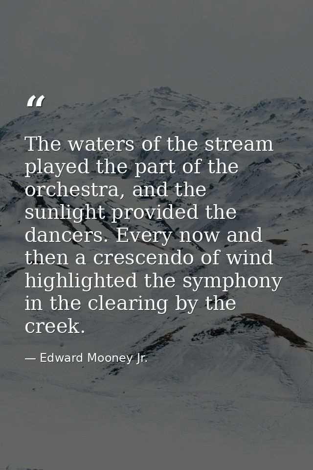 The waters of the stream played the part of the orchestra, and the sunlight provided the dancers. Every now and then a c — Edward Mooney Jr.