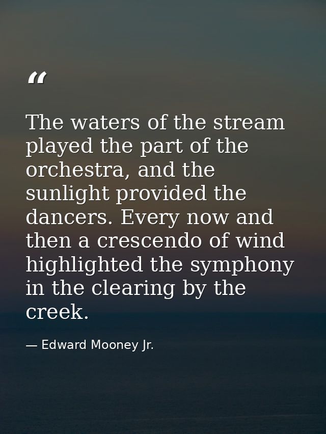 The waters of the stream played the part of the orchestra, and the sunlight provided the dancers. Every now and then a c — Edward Mooney Jr.