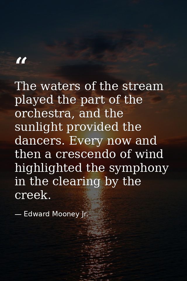 The waters of the stream played the part of the orchestra, and the sunlight provided the dancers. Every now and then a c — Edward Mooney Jr.
