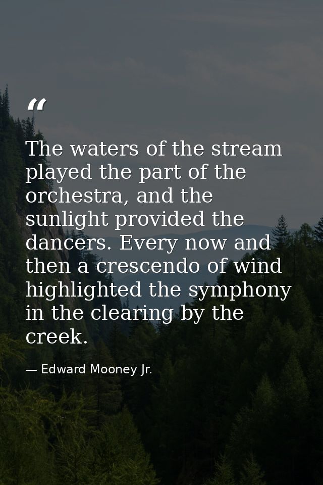 The waters of the stream played the part of the orchestra, and the sunlight provided the dancers. Every now and then a c — Edward Mooney Jr.