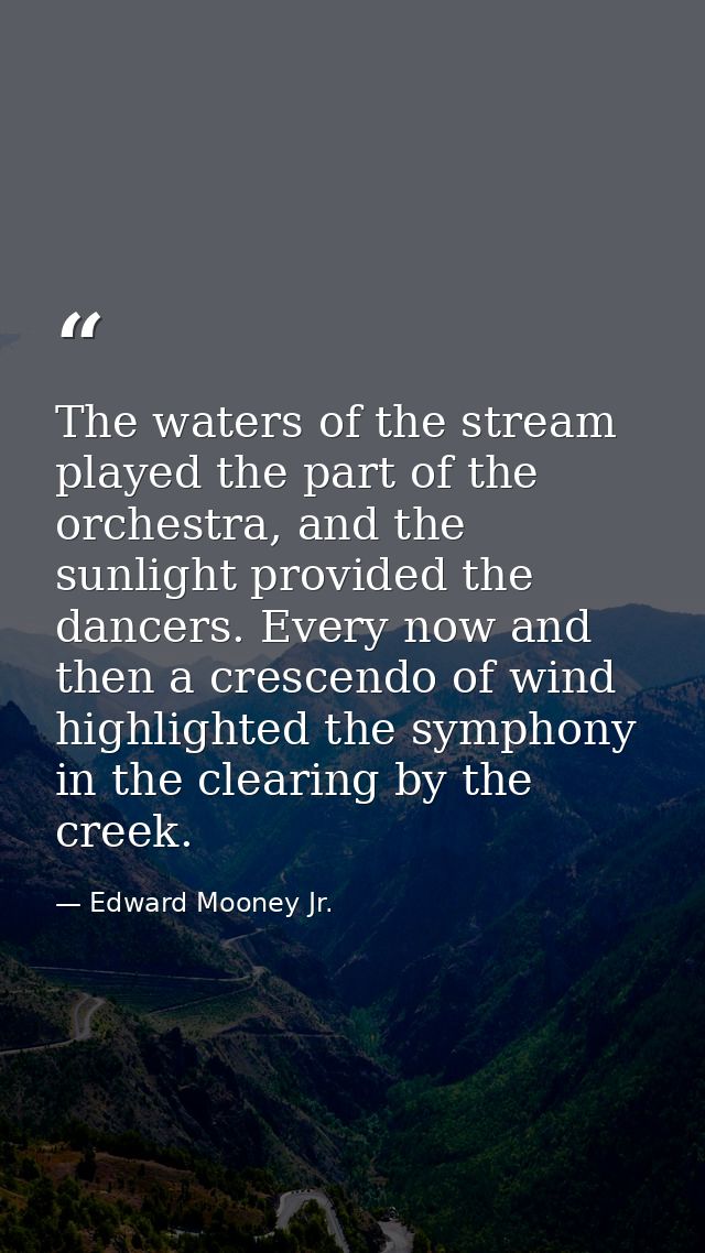 The waters of the stream played the part of the orchestra, and the sunlight provided the dancers. Every now and then a c — Edward Mooney Jr.