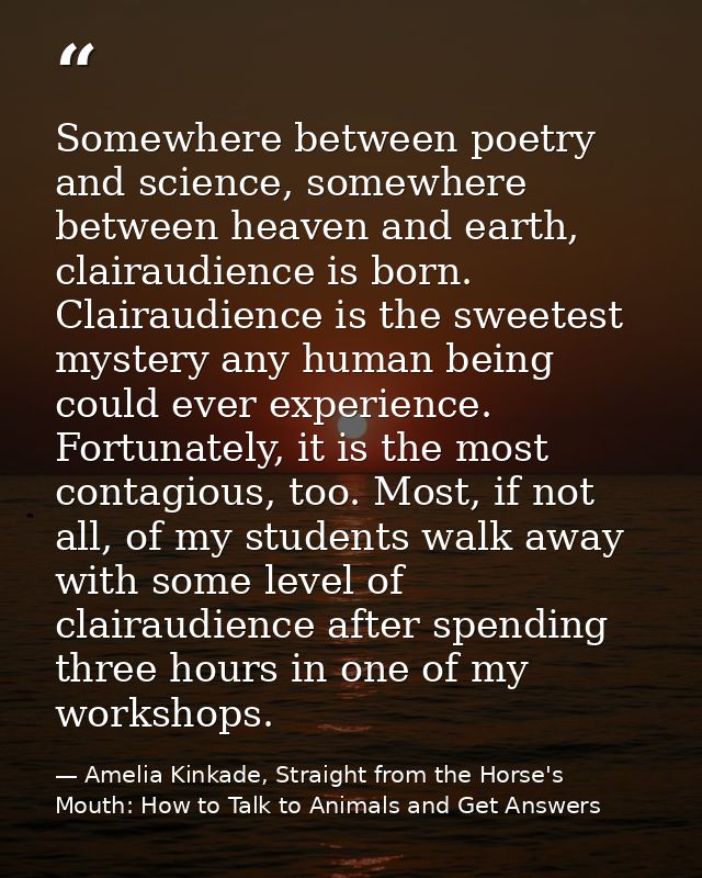 Somewhere between poetry and science, somewhere between heaven and earth, clairaudience is born. Clairaudience is the sw — Amelia Kinkade, Straight from the Horse's Mouth: How to Talk to Animals and Get Answers
