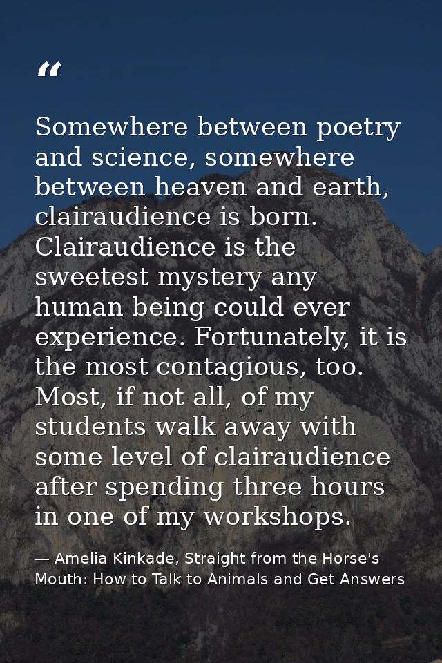 Somewhere between poetry and science, somewhere between heaven and earth, clairaudience is born. Clairaudience is the sw — Amelia Kinkade, Straight from the Horse's Mouth: How to Talk to Animals and Get Answers