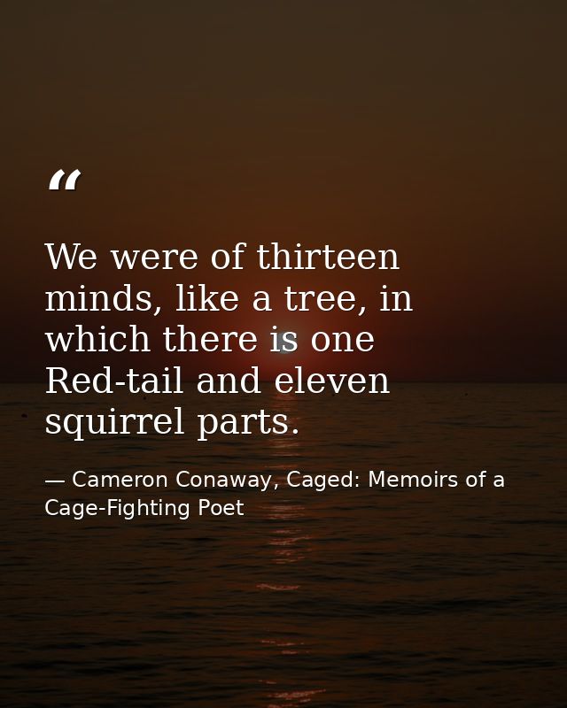 We were of thirteen minds, like a tree, in which there is one Red-tail and eleven squirrel parts. — Cameron Conaway, Caged: Memoirs of a Cage-Fighting Poet