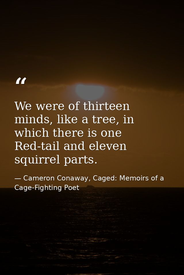 We were of thirteen minds, like a tree, in which there is one Red-tail and eleven squirrel parts. — Cameron Conaway, Caged: Memoirs of a Cage-Fighting Poet