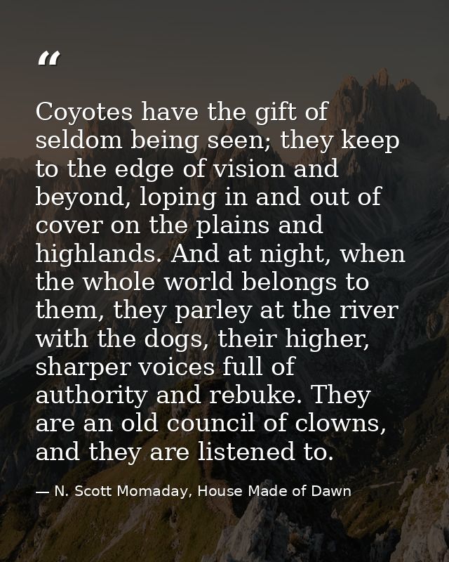 Coyotes have the gift of seldom being seen; they keep to the edge of vision and beyond, loping in and out of cover on th — N. Scott Momaday, House Made of Dawn