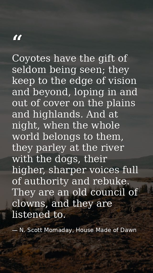 Coyotes have the gift of seldom being seen; they keep to the edge of vision and beyond, loping in and out of cover on th — N. Scott Momaday, House Made of Dawn